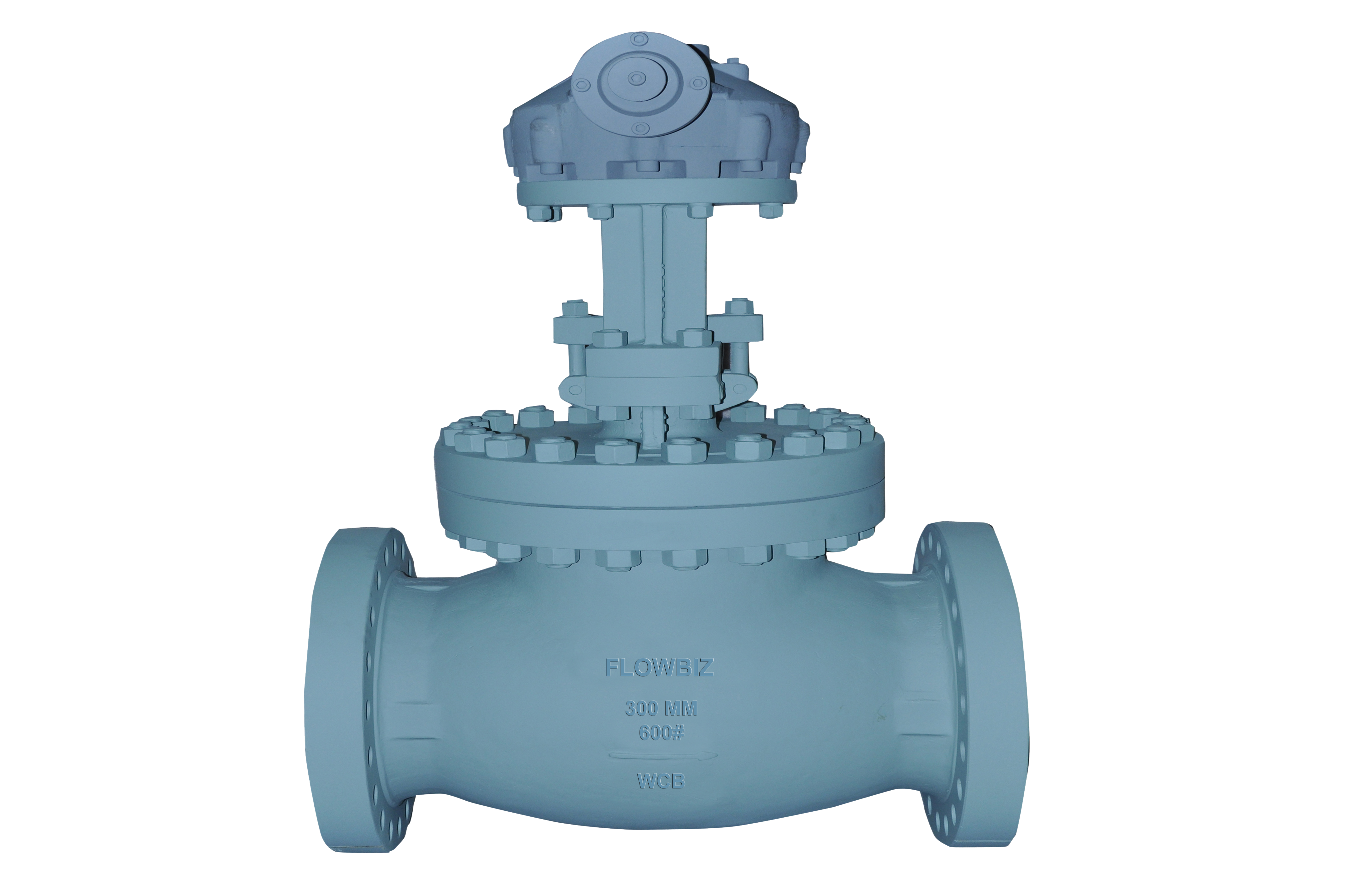 globe valve manufacturer india - Flowbiz