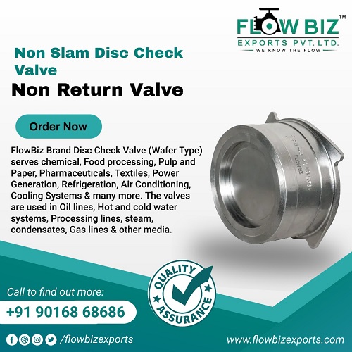 disc check valve manufacturer india - Flowbiz Brand