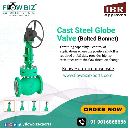 ibr globe valve manufacturer india - Flowbiz