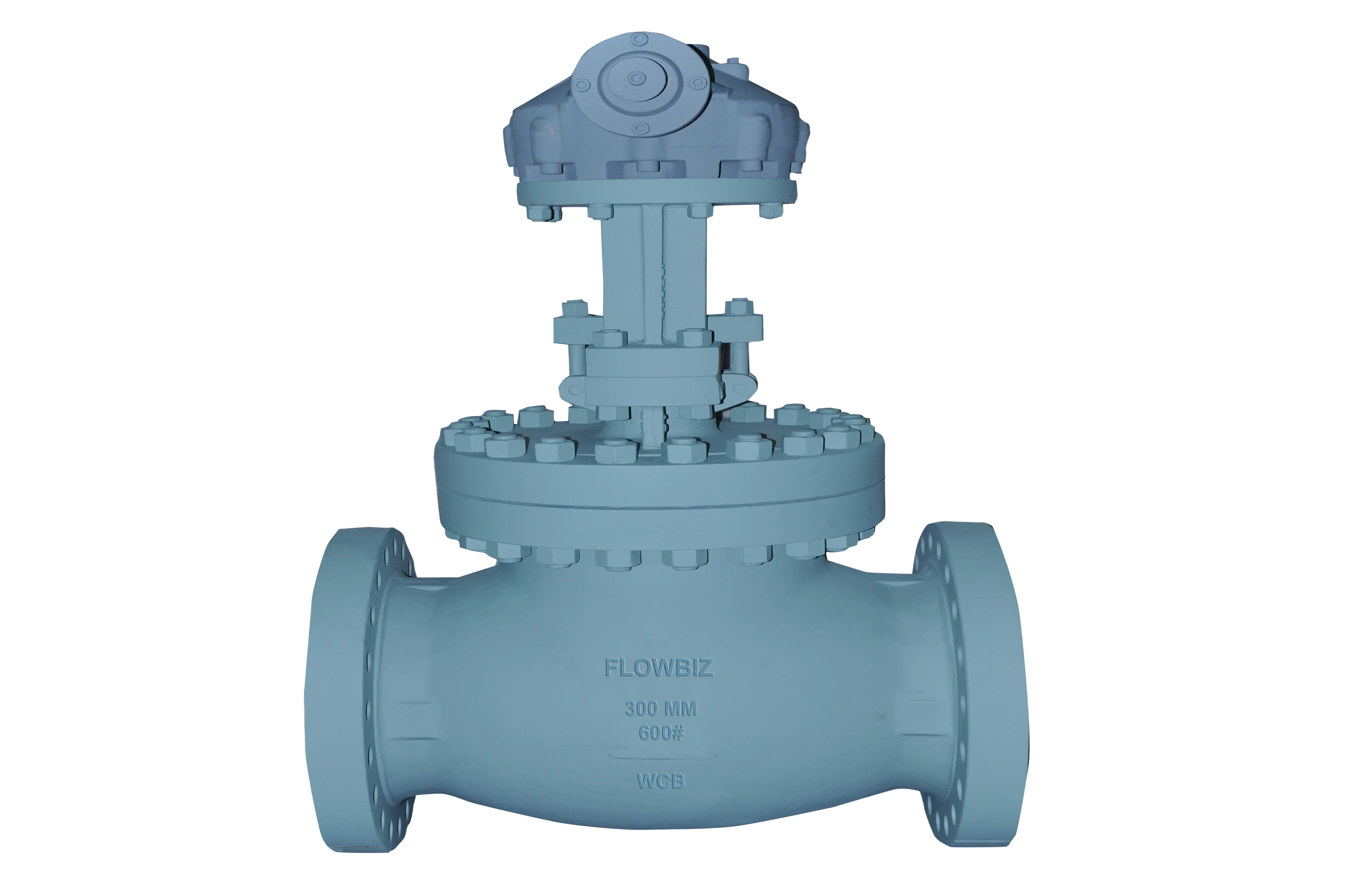 globe valve manufacturer india - Flowbiz