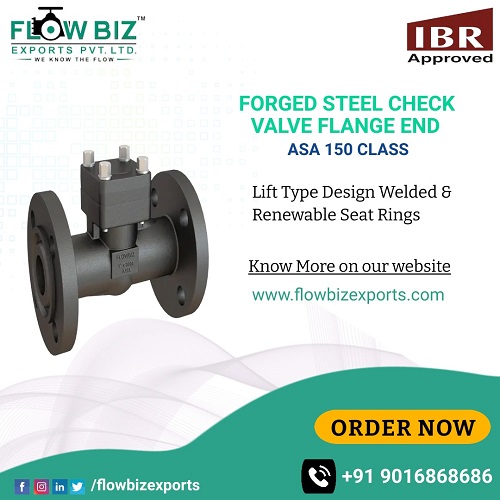 forged steel check valve manufacturer india - Flowbiz