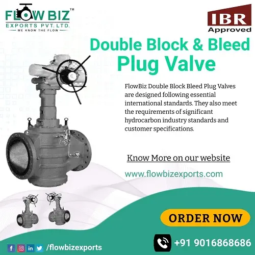 Double Block & Bleed Plug Valve