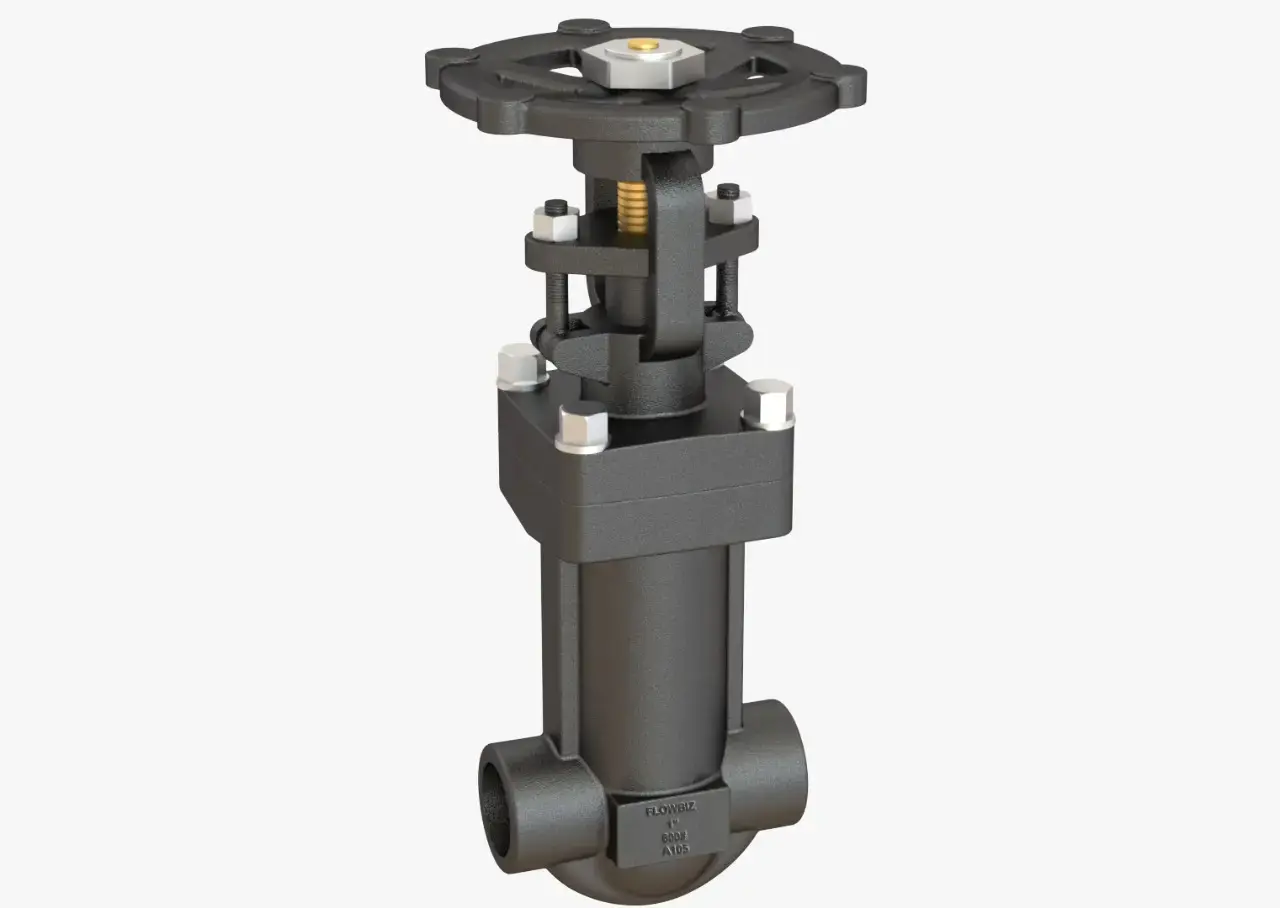forged globe valve manufacturer india - Flowbiz