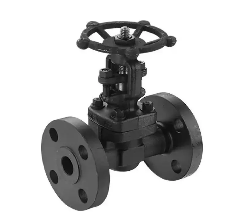 forged steel gate valve manufacturer ahmedabad - Flowbiz