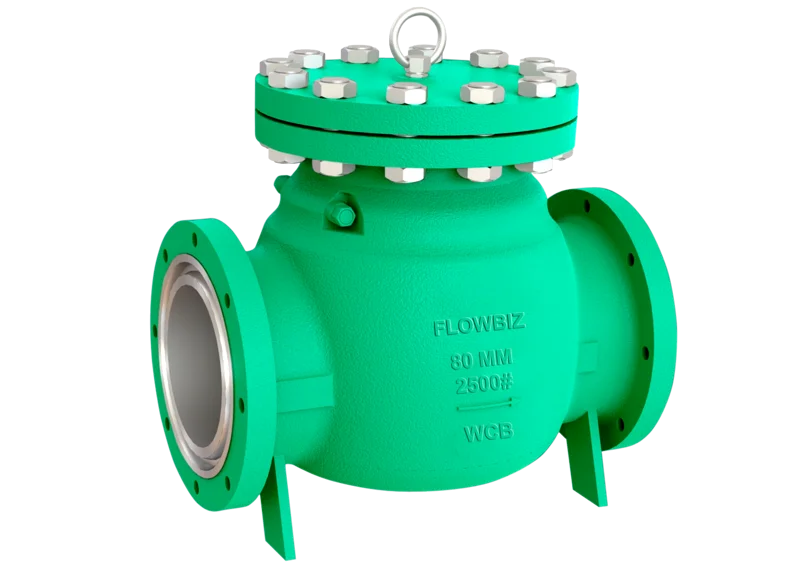 Best Check Valve Manufacturer India - FlowBiz