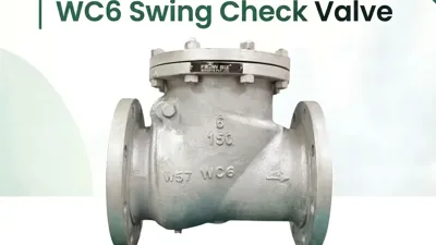 WC6 Swing Check Valve