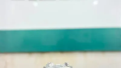 FlowBiz Exports industrial cast steel swing check valve with a flanged non-return body and bolted bonnet, finished in a silver anti-corrosive coating.
