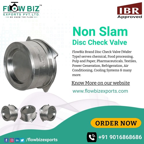 check valve manufacturer india - Flowbiz