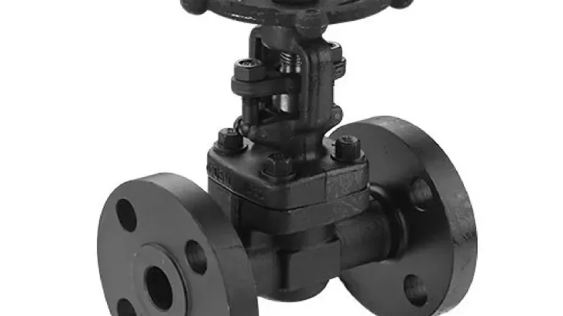 Forged Steel Gate Valve