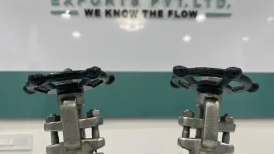 FlowBiz Exports forged steel gate valves model FB-3803 and FB-3811, featuring compact Class 800 OS&Y rising stem designs with black manual handwheels.