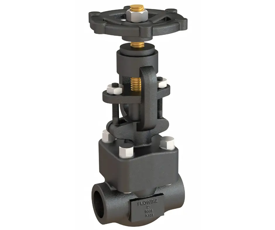 forged globe valve manufacturer india - Flowbiz